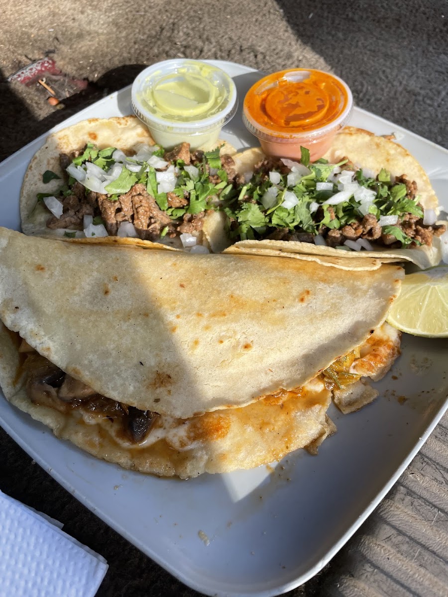 El nopal - Hardeeville