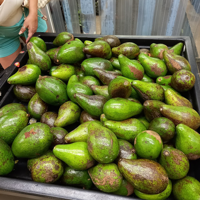 Avocado