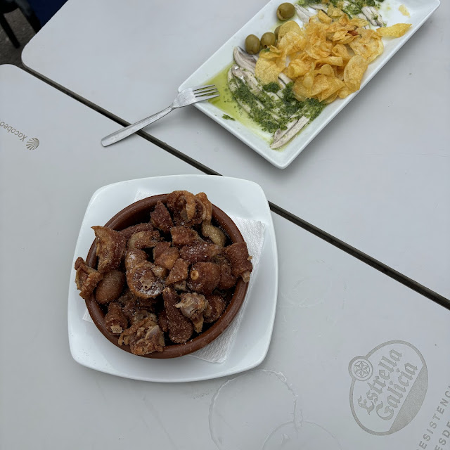Rabo de Toro