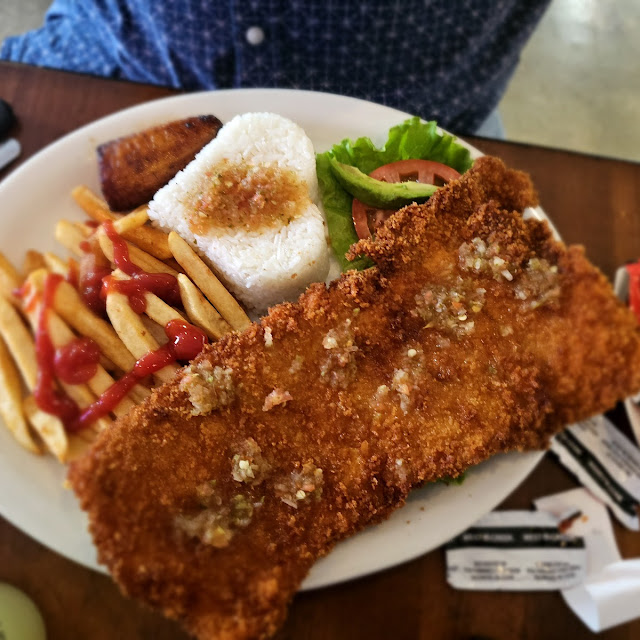 Lomo De Cerdo Apanada Breaded Pork Loin Breaded