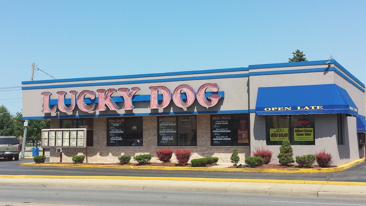 Lucky Dog