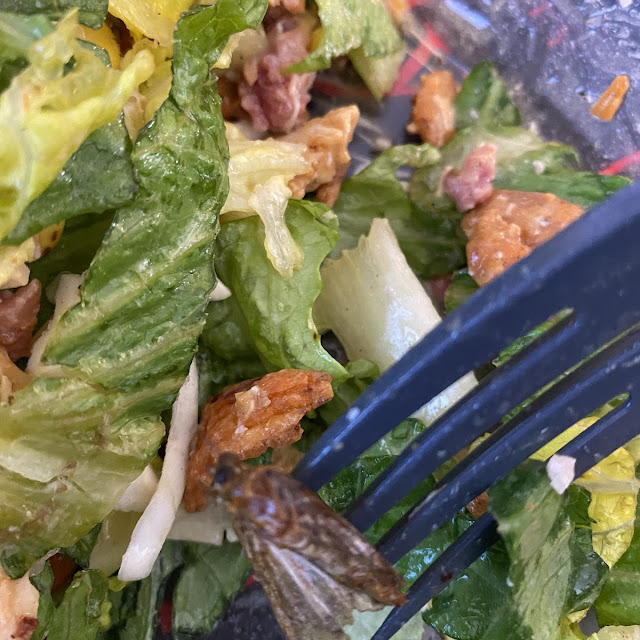 Caesar Salad