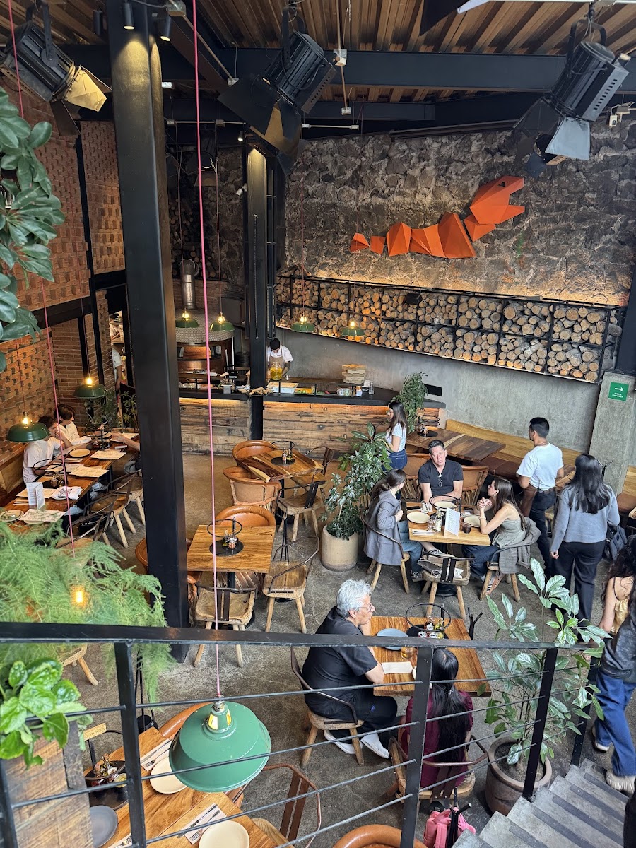 Cancino Pedregal
