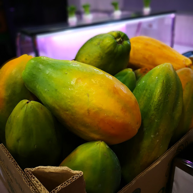 Papaya Canaria