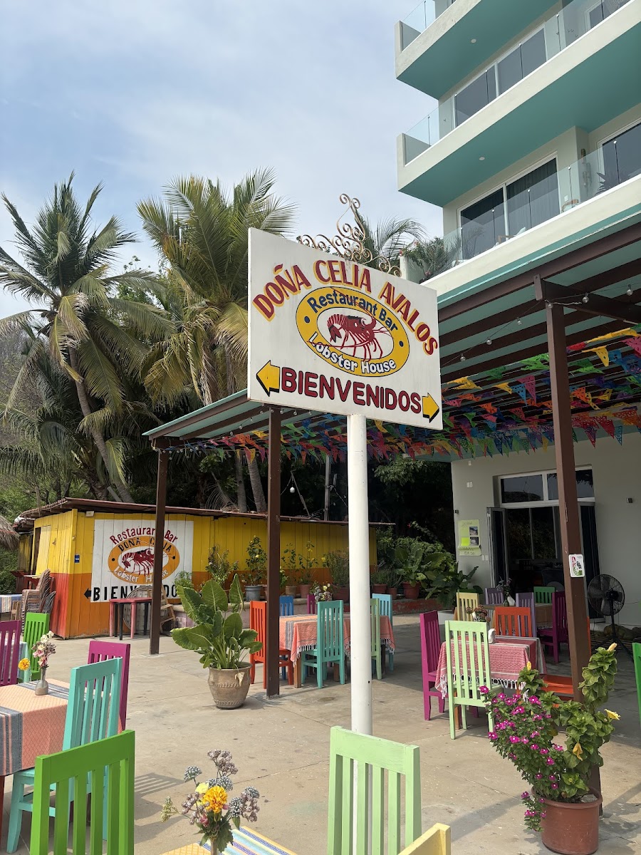 Restaurante Bar Dona Celia