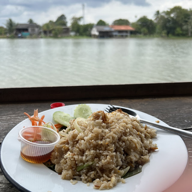 Fried Rice with Chicken