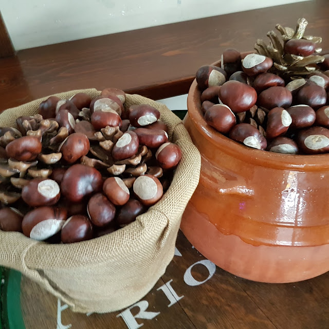 Castañas de Decoración En Este Caso