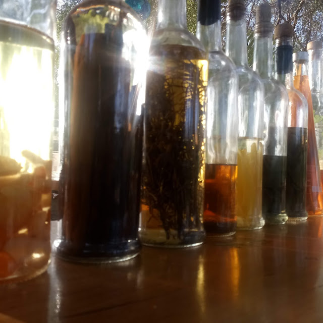 Macerados Varios