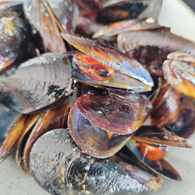 Mejillones