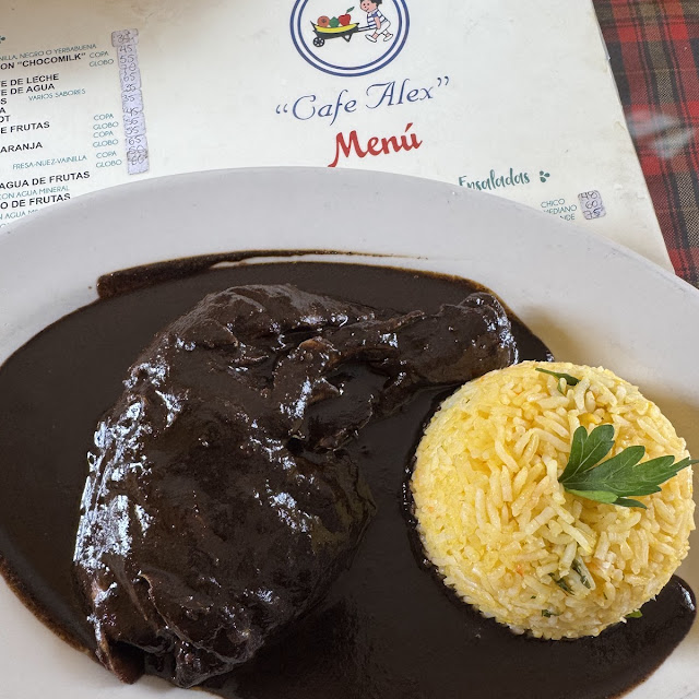 Mole Negro