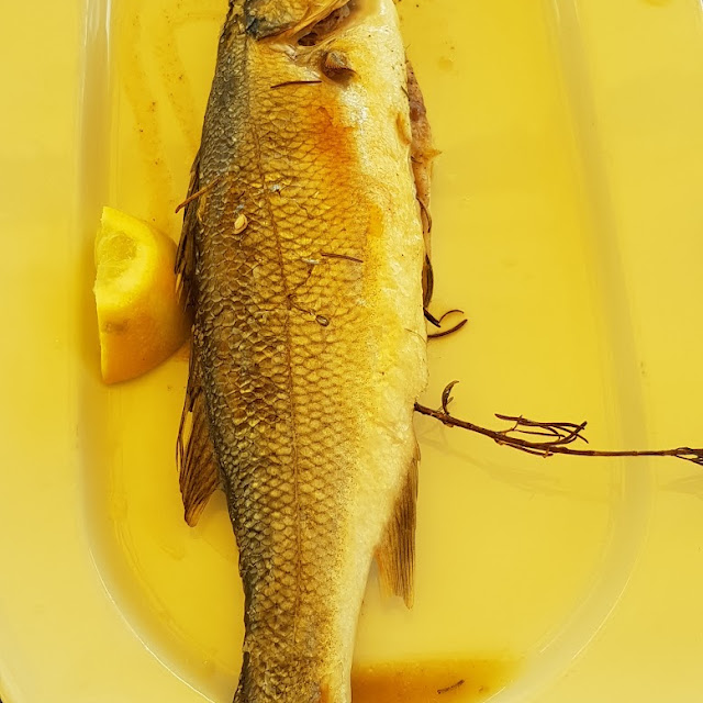 Wunderbarer Fisch