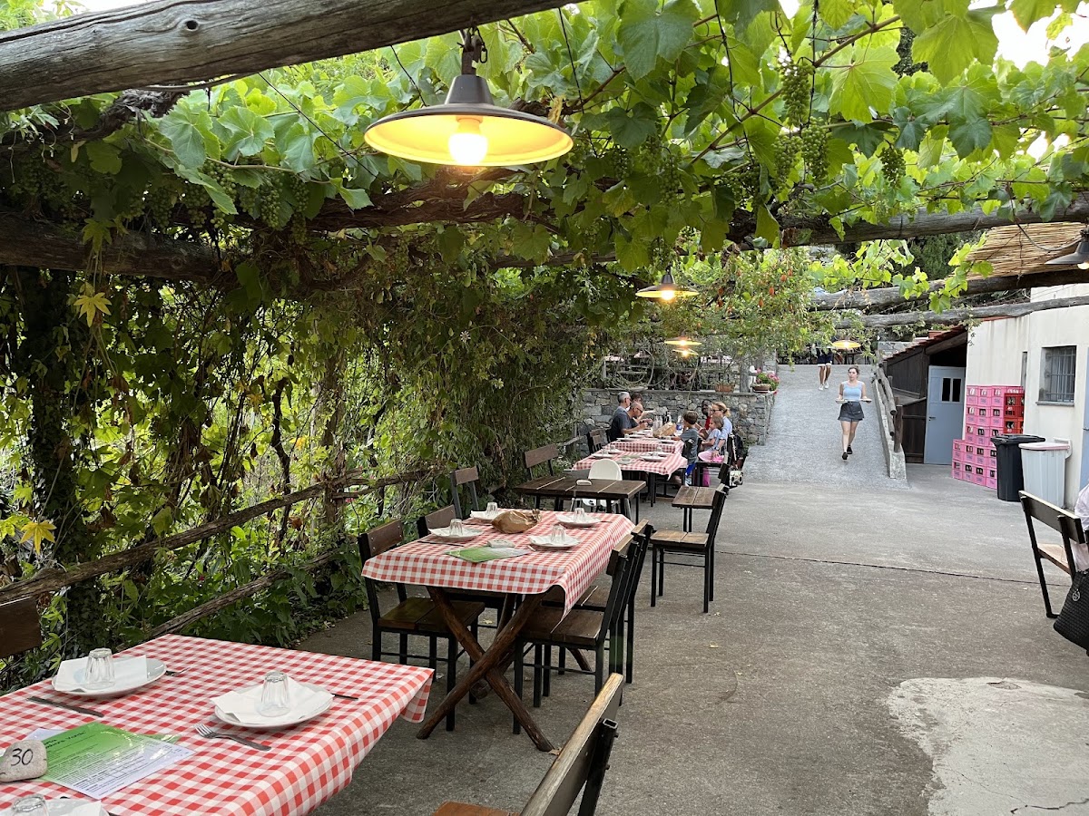 Trattoria Gambero Verde