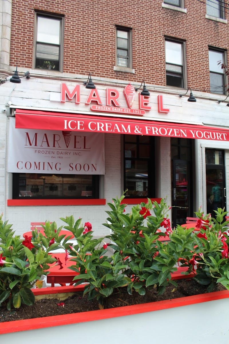 Marvel Frozen Dairy