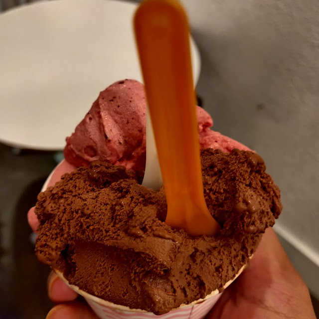 Blueberry Sorbet and Chocolate Ice Cream