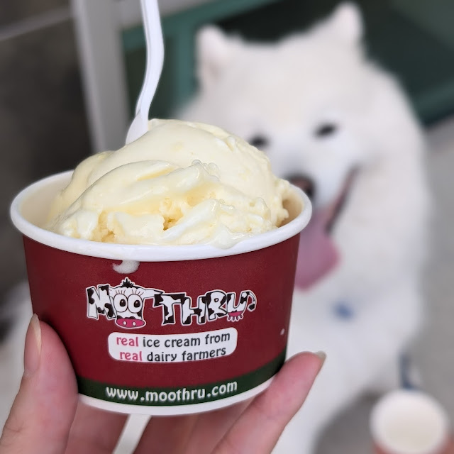 Pineapple Sorbet