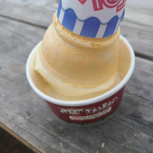 Banana Ice Cream