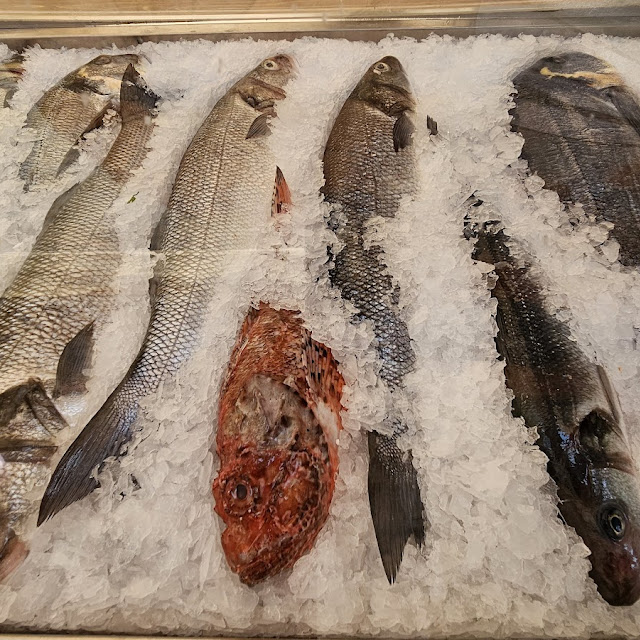 Fresh Adriatic Fish