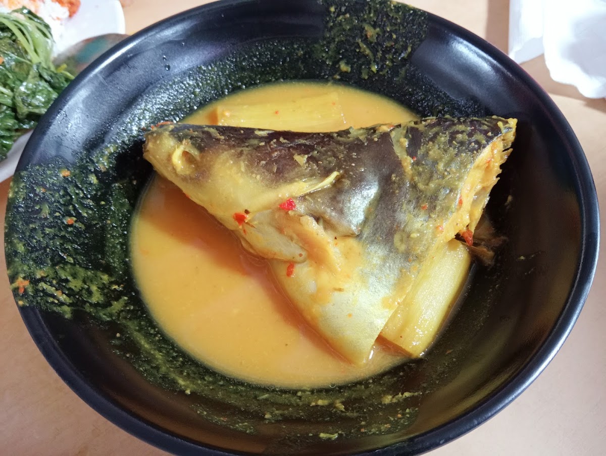 Abang Zul Ikan Patin