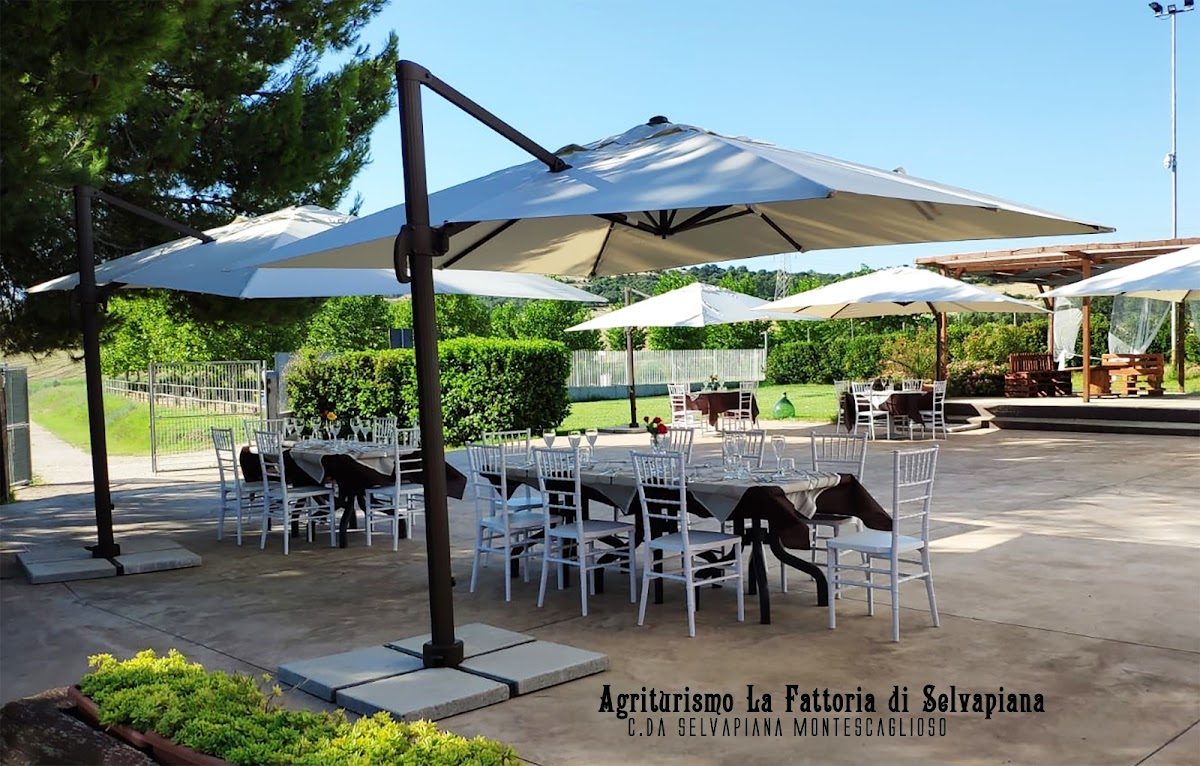 Agriturismo Selvapiana