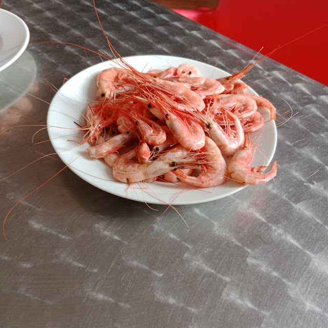 Gamba Canaria