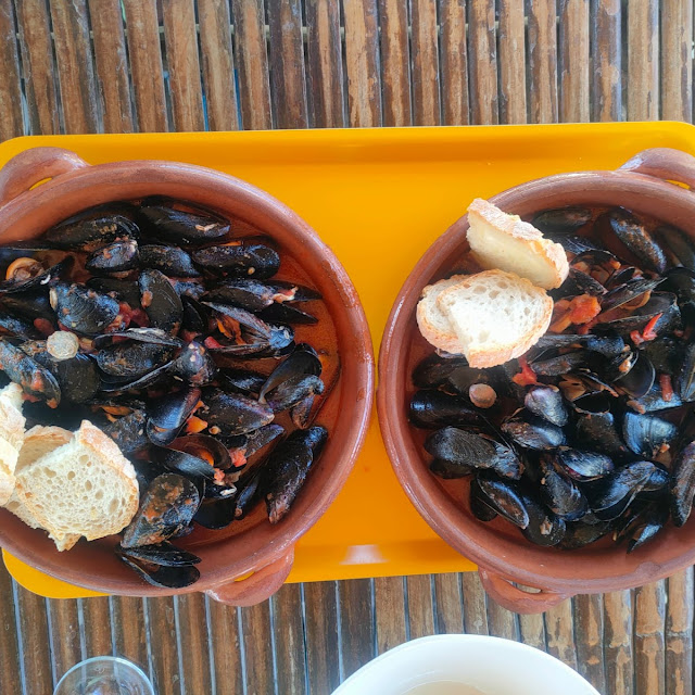Muscheln