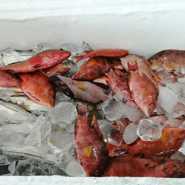 Pescados Para Freir