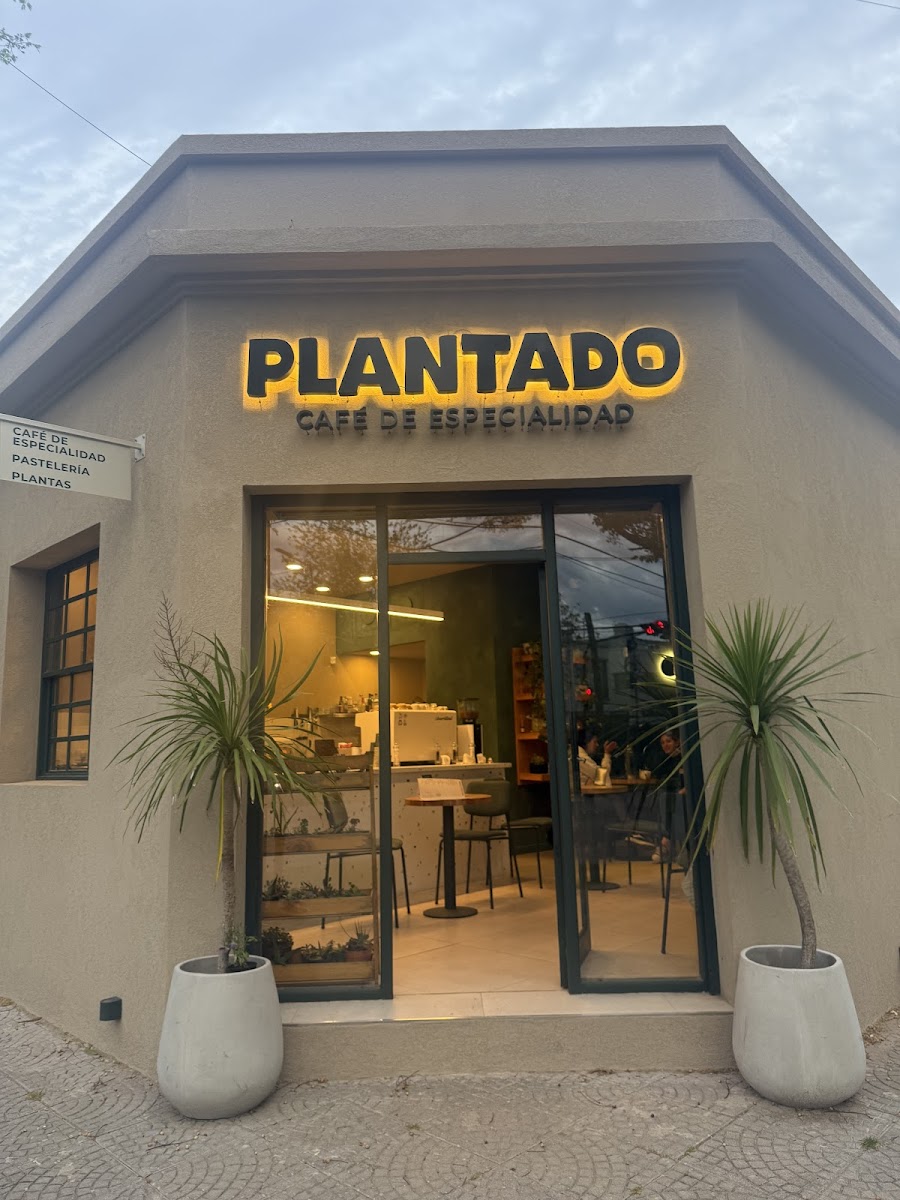 Plantado Cafe