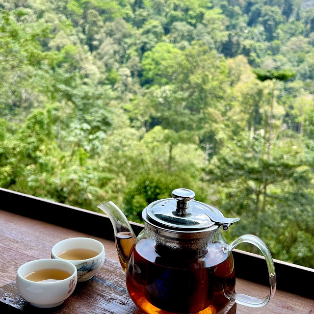 Oolong Tea