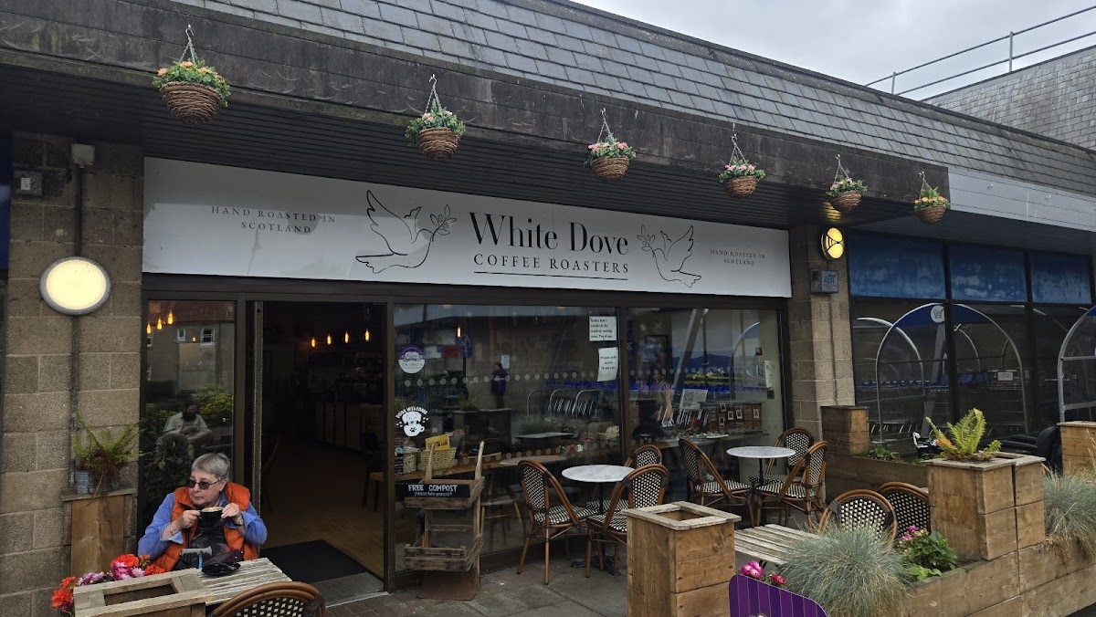 White Dove Coffee Roasters