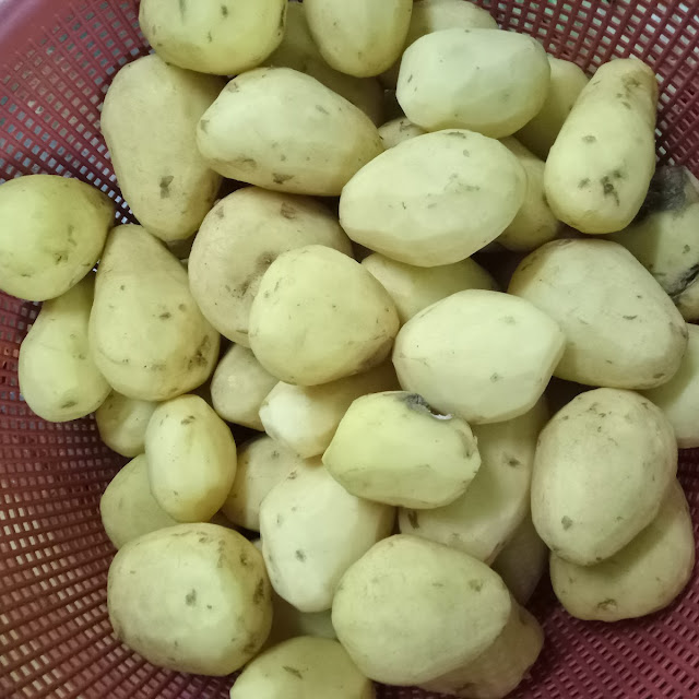 Kentang