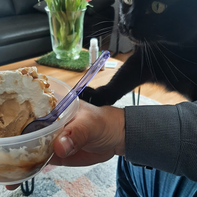 Caramelbecher Mit Katze