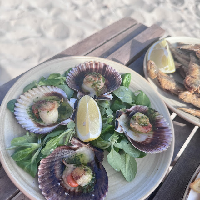 Scallop
