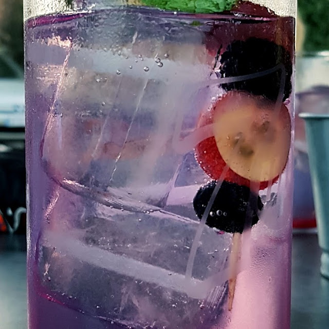 Gin-tonic Puerto de Indias
