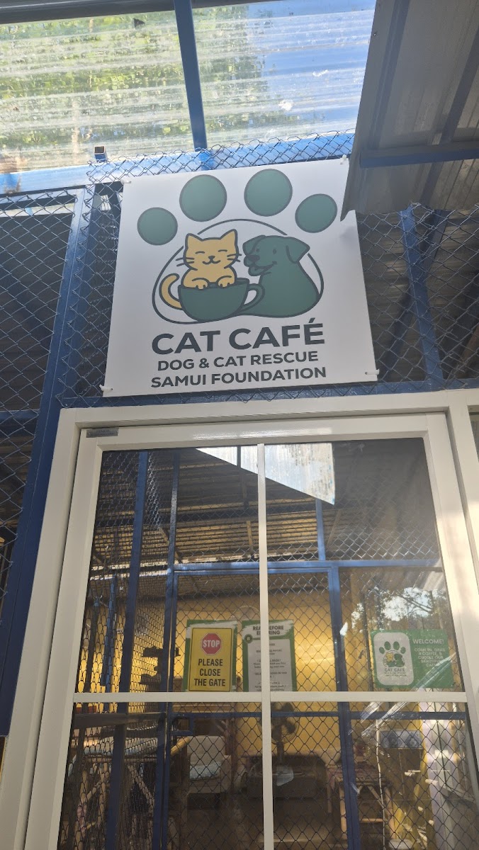 Cat Café