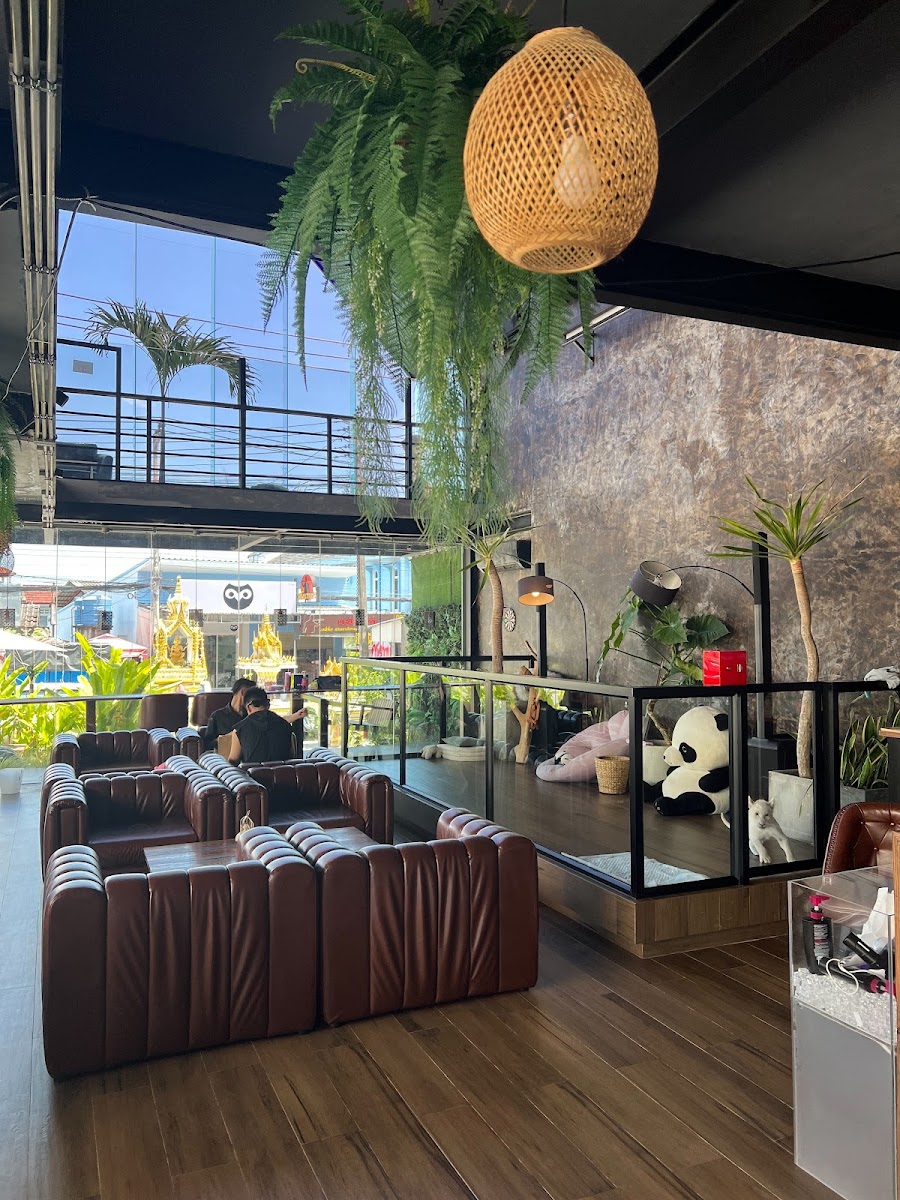 The glass house Lion cafe