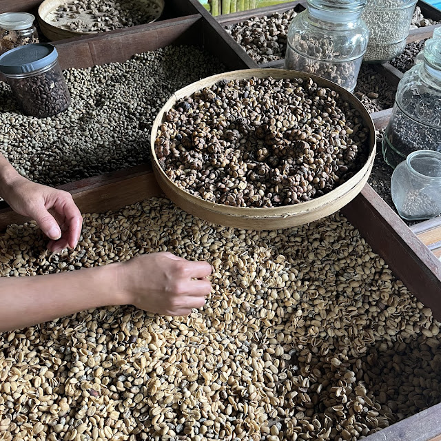 Taster Coffee