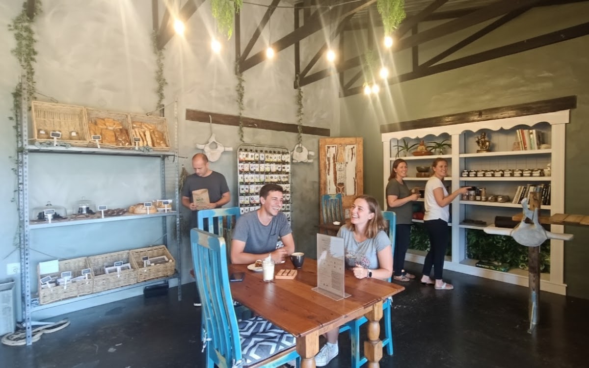 Cafe Forest Friends