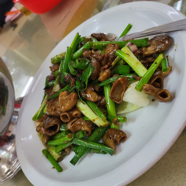 Pig Intestine