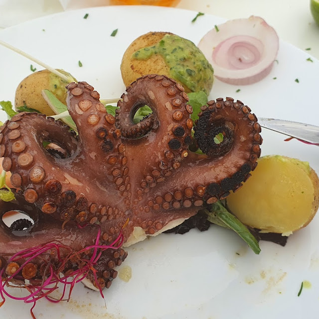 Grilled Saharian Squids