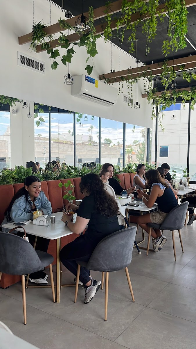 Zensano, Health Bar & Nutrition