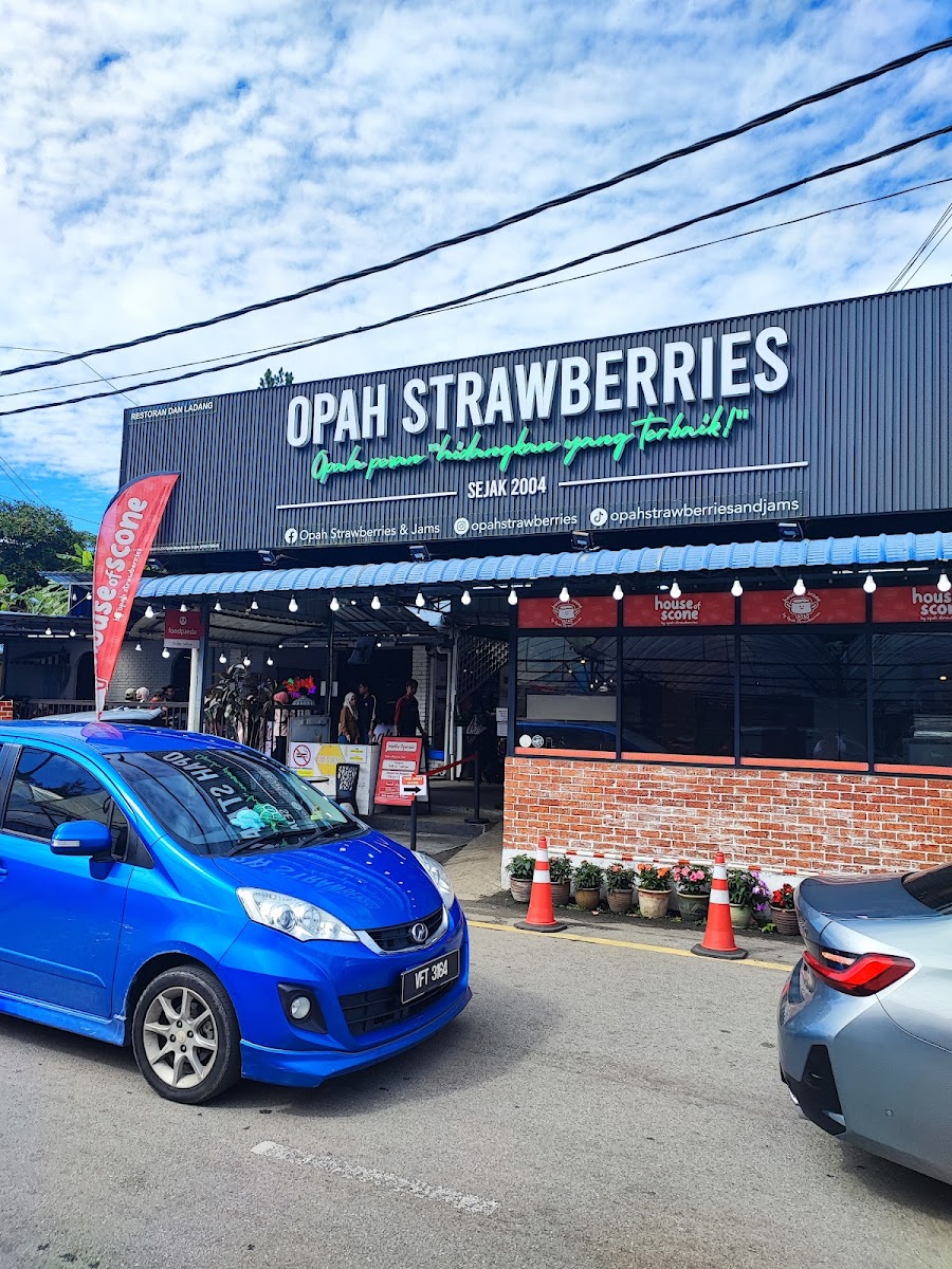 Opah Strawberries & Jams (Cameron Highlands)
