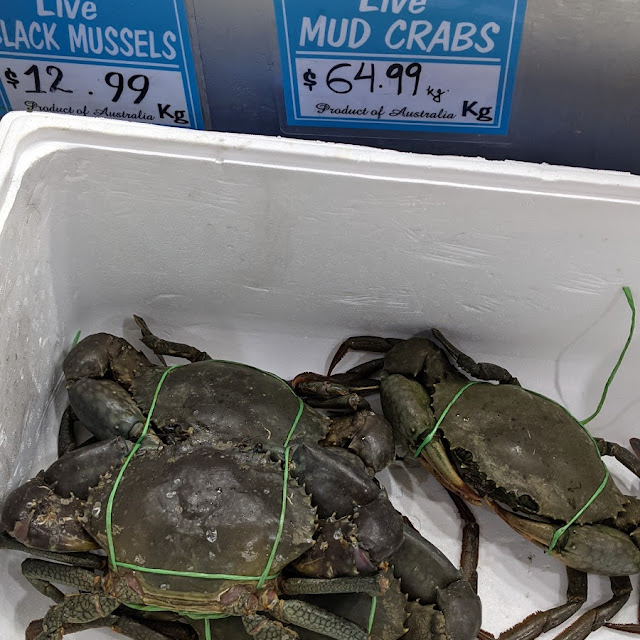 Mud Crab
