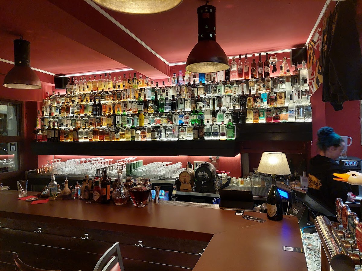 Djaria - American Bar