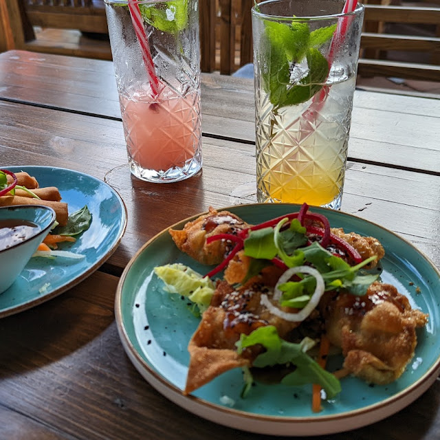 Frühlingsrollen Links Und Wan-tan Mit Krabbenhack Rechts
