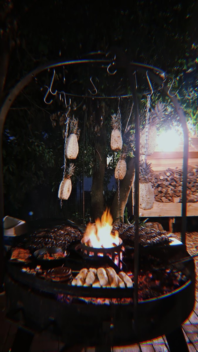 Quintal Norte