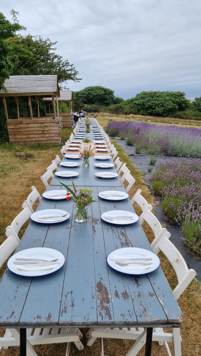 Cornish Lavender