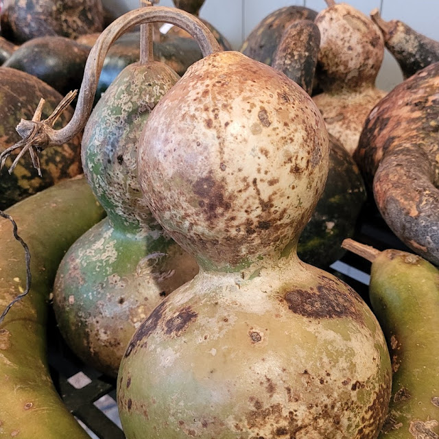 Gourd