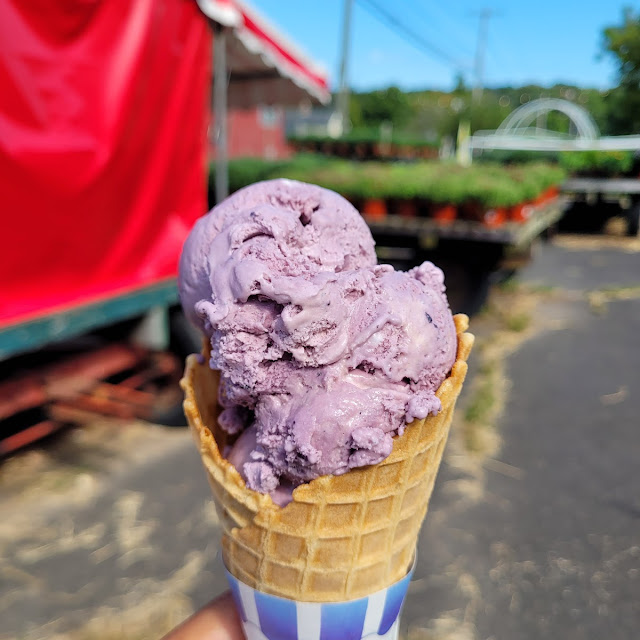 Blackberry Goat Cheese