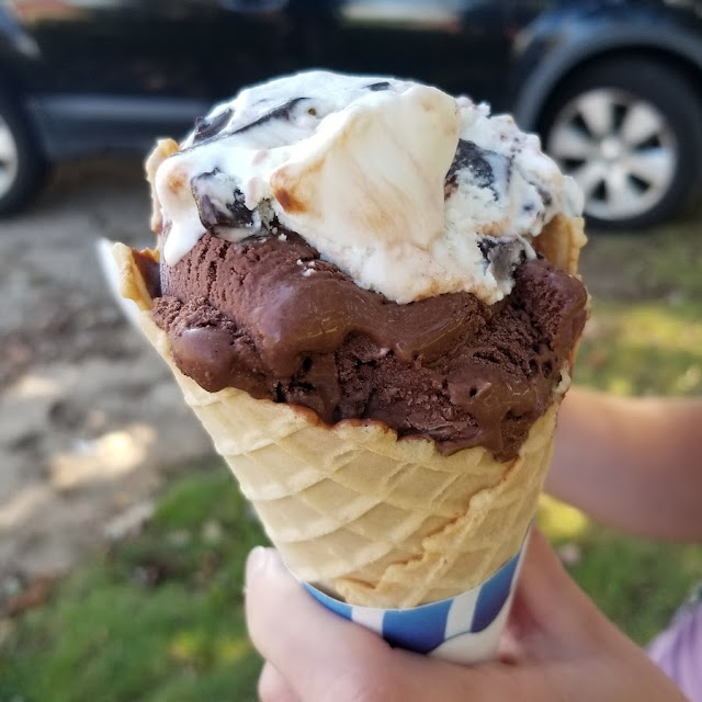 Vonilla Chocolate Chip Dark Chocolate