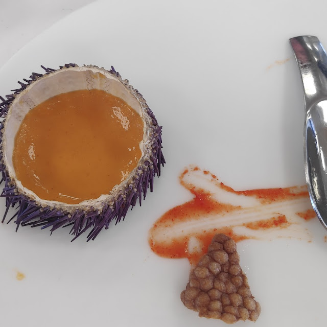 Erizo En Crema Con Esfera de Mar